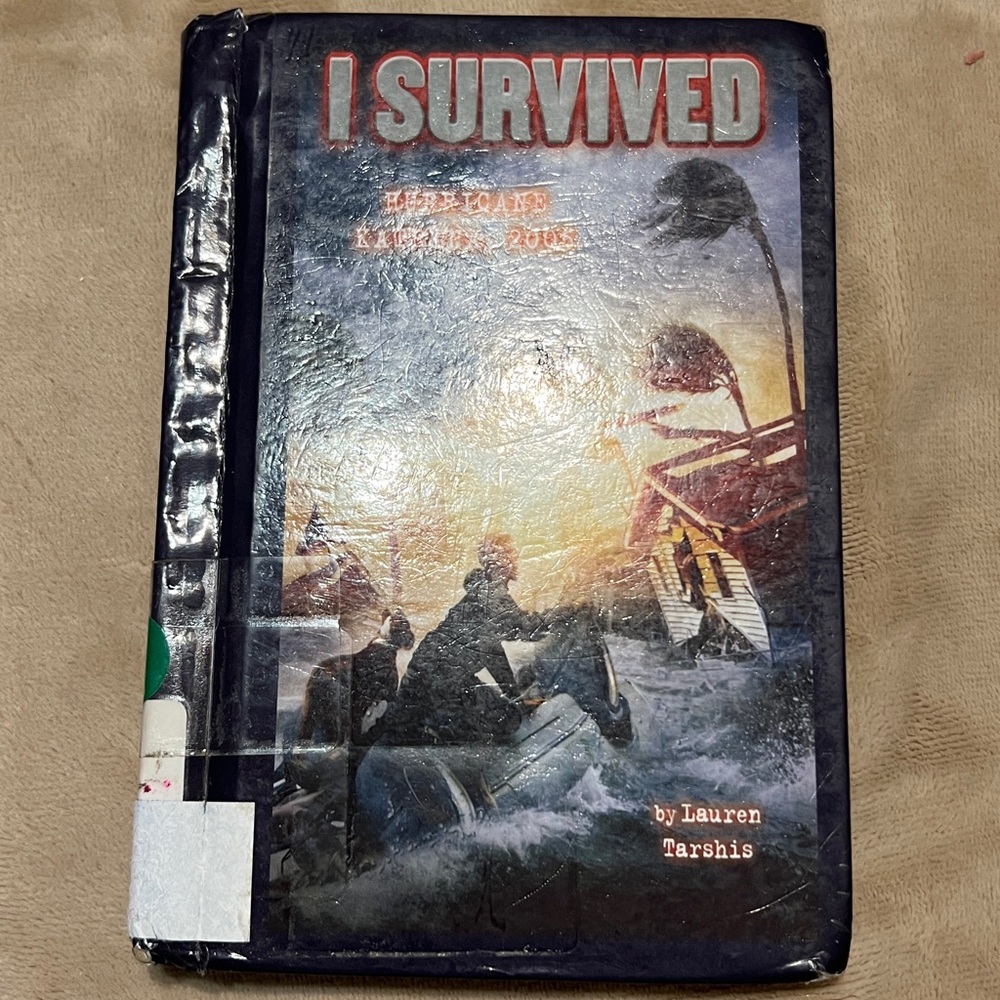 I Survived Book Collection - Picture 10 of 10